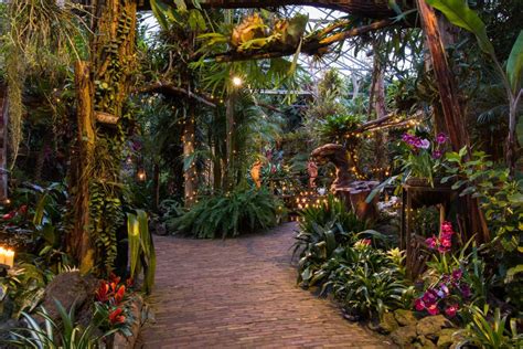 orchideeënhoeve social deal|Pantropica (voorheen Orchideeën Hoeve) + 90。